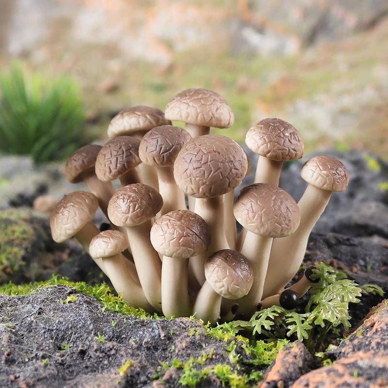 Simulated Fungal Mushroom Models Shiitake Mushroom Amanita Phalloides Pleurotus Ostreatus Matsutake Mushroom Artificial Decor