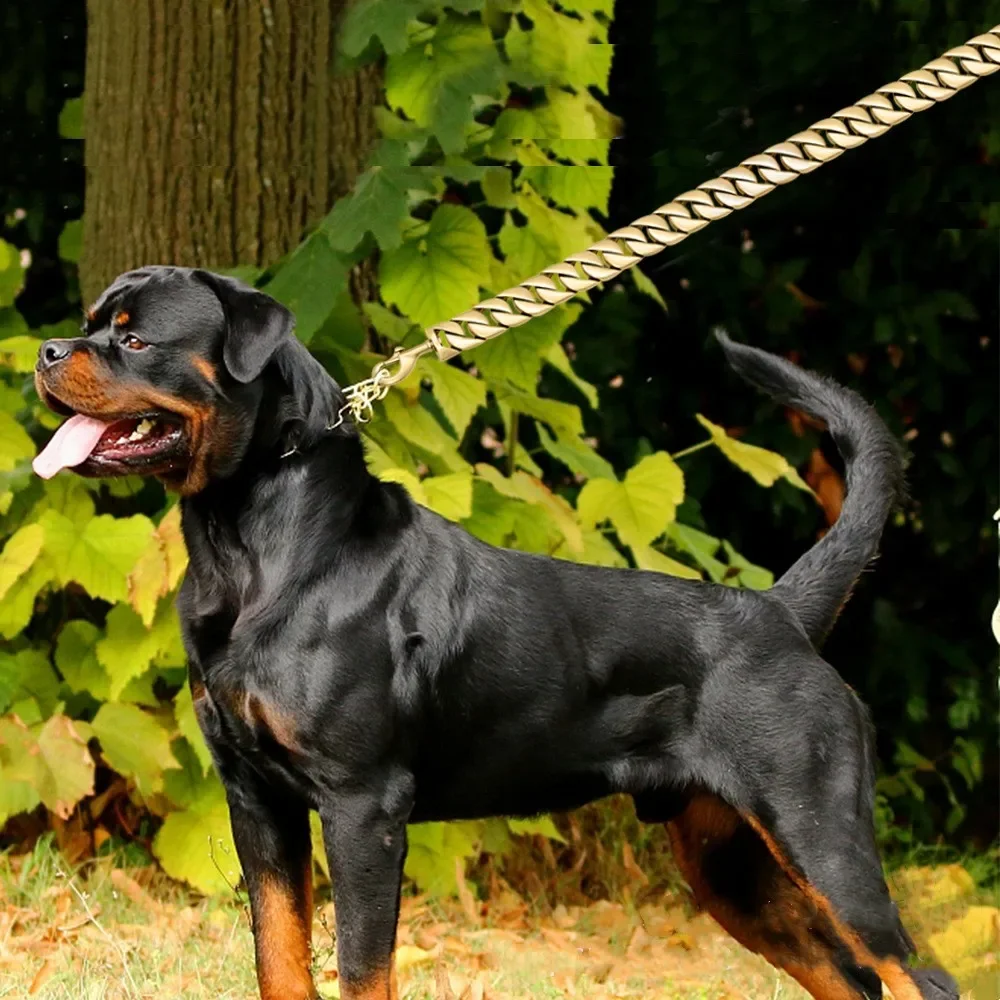 Stainless Steel Dog Leash Pet Lead Traction Super Strong Gold Collar Chain 32mm 19mm Bulldog Pitbull Large Dog Collar Leash