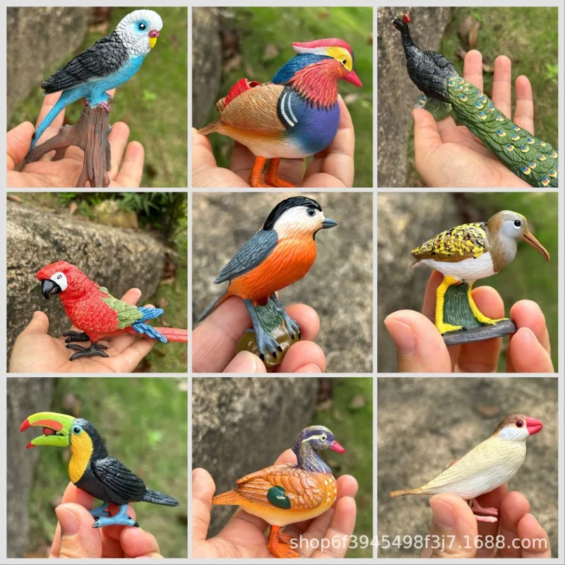 Realistic Solid Toucan Owl Parrot Peacock Bird Figurine Miniature Model Home Decor