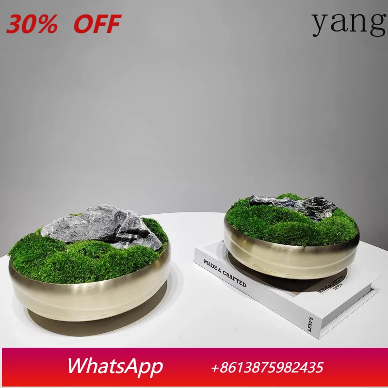 CX  New Chinese Simple Simulation Moss Conference Room Negotiates Desktop Coffee Table Potted Potted Bonsai