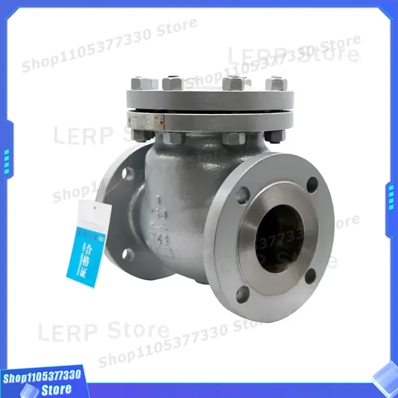 ANSI WCB Swing Check Valve Manual Control 4 Inch Water Non Return Valve Manufacturers