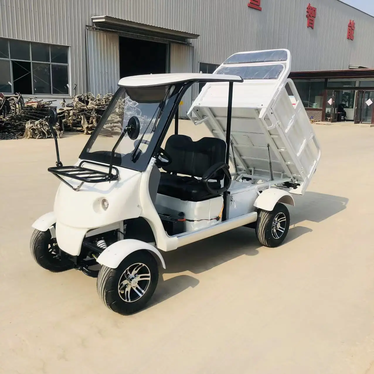 New Energy 2 Seater Electric Golf Cars Cargo Customized Motor Acid Battery/Lithium Battery