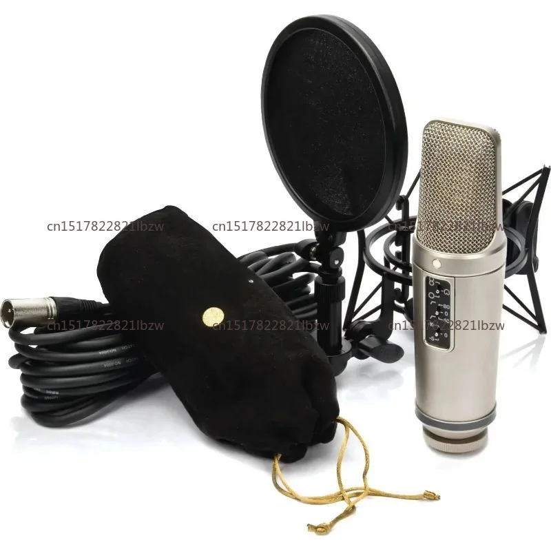 Best Quality  NT2-A Large-Diaphragm Multipattern Condenser Microphone Ready to Ship