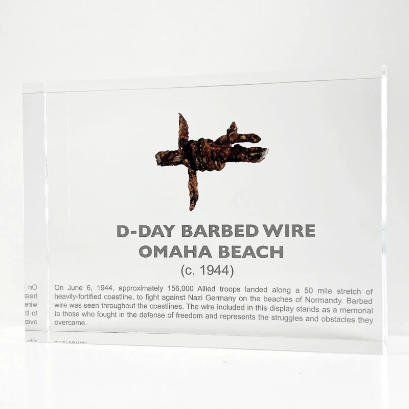 Normandy landing barbed wire specimen ornament mini museum creative gift