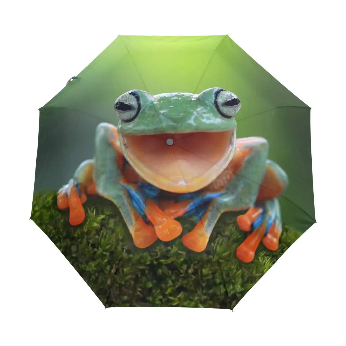 Lovely Tree Frog Folding Rain Sun Umbrella Tropical Animal Travel Umbrellas Compact Lightweight Windproof for Teens Students