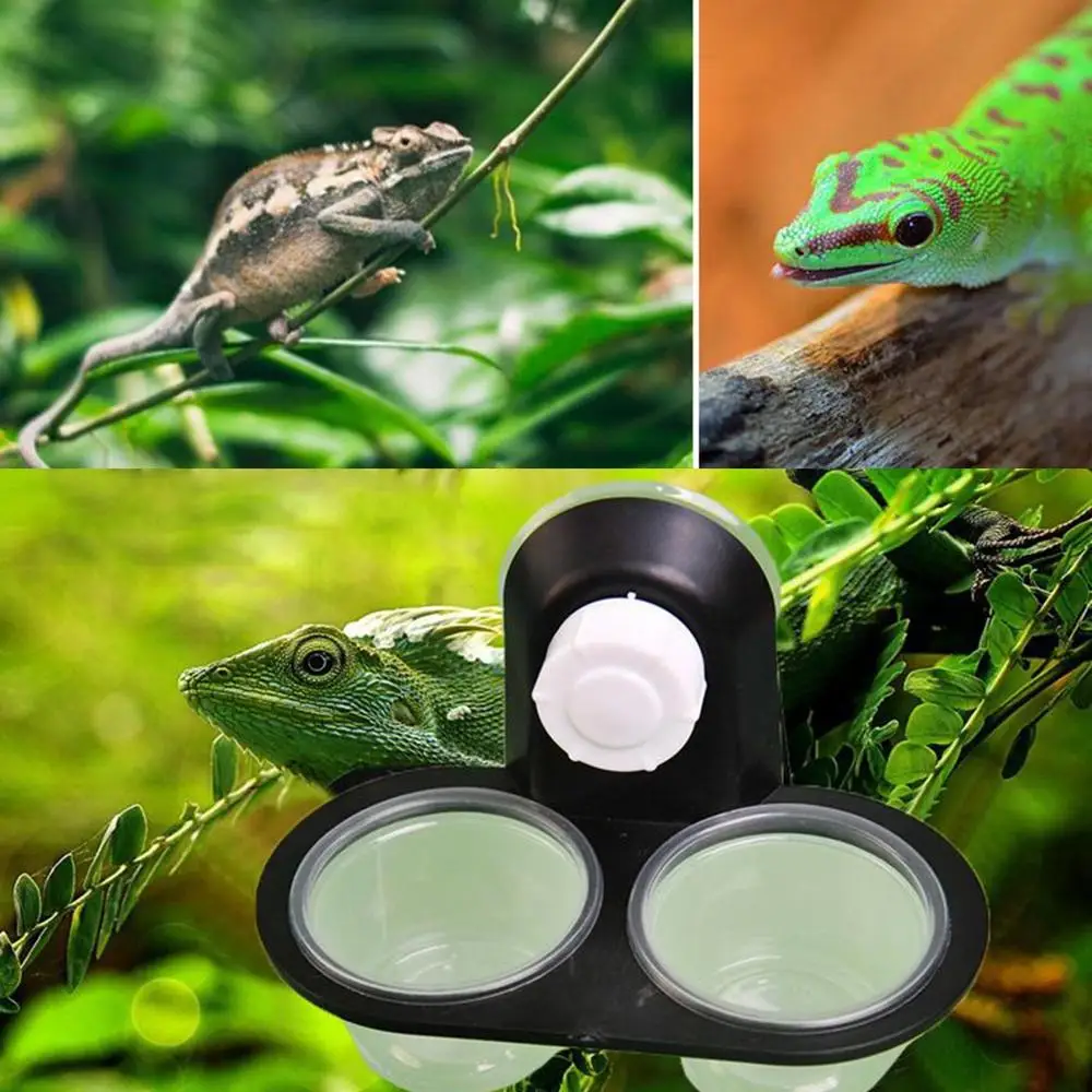 Reptilienzubehör: Insekten-, Spinnen-, Ameisen-Nester, Schlangen-, Gecko-Futter- und Wasserschalen, Terrarium-Zuchtkästen, Tierbedarf – Detail 4