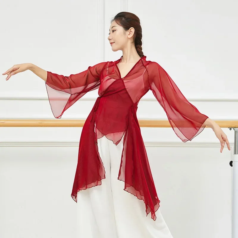 Costume Long pour femmes, vêtements de danse, vêtements classiques en mousseline de soie pour adultes, danse du ventre, cravate latérale, haut fendu, Cardigan Transparent, chemisier