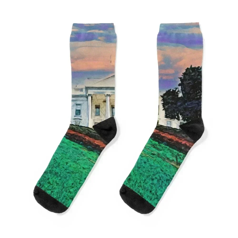 THE WHITE HOUSE Socks bright garter winter christmass gift Stockings man Ladies Socks Men's