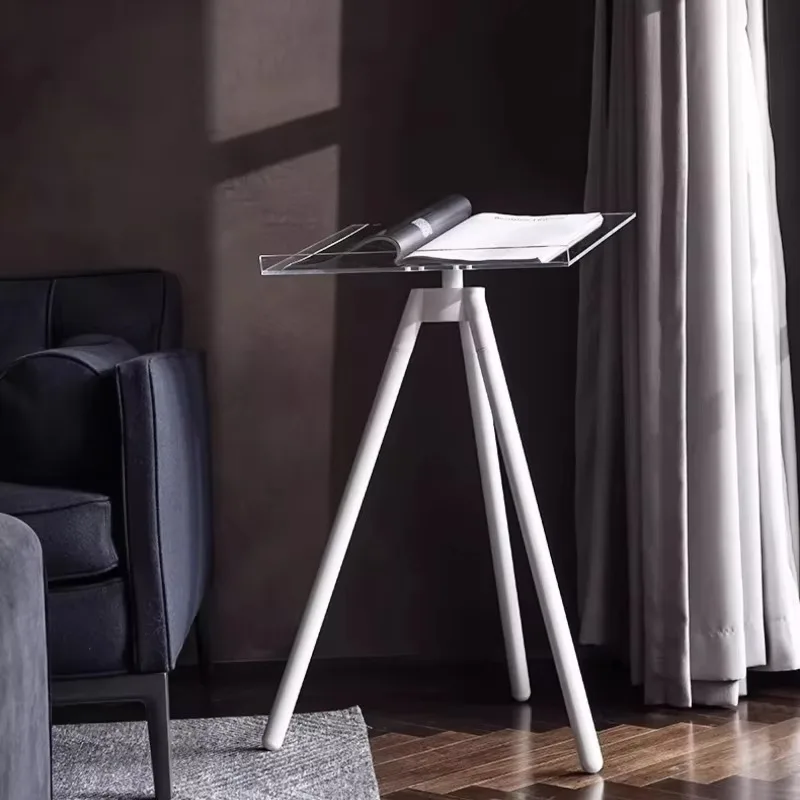 Living Room Floor Reading Stand, Sofa Side Display Rack, Modern Book Holder for Magazine Catalog, Sample Room Home Decor