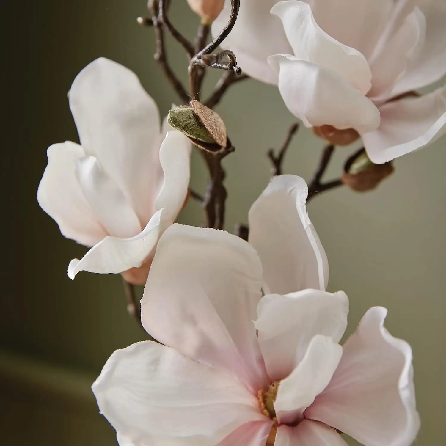 Thymes Magnolia Willow Room Spray - Long Lasting Air Freshener for Home with Floral Scent, 3 oz view 2