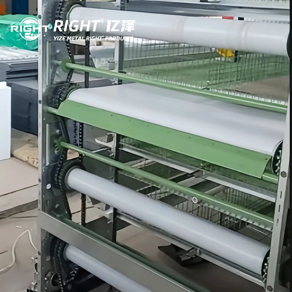 Fully Automatic Quail Cage Manure Belt Cleaning System Egg Collector Automatic Drinking and Feeding System