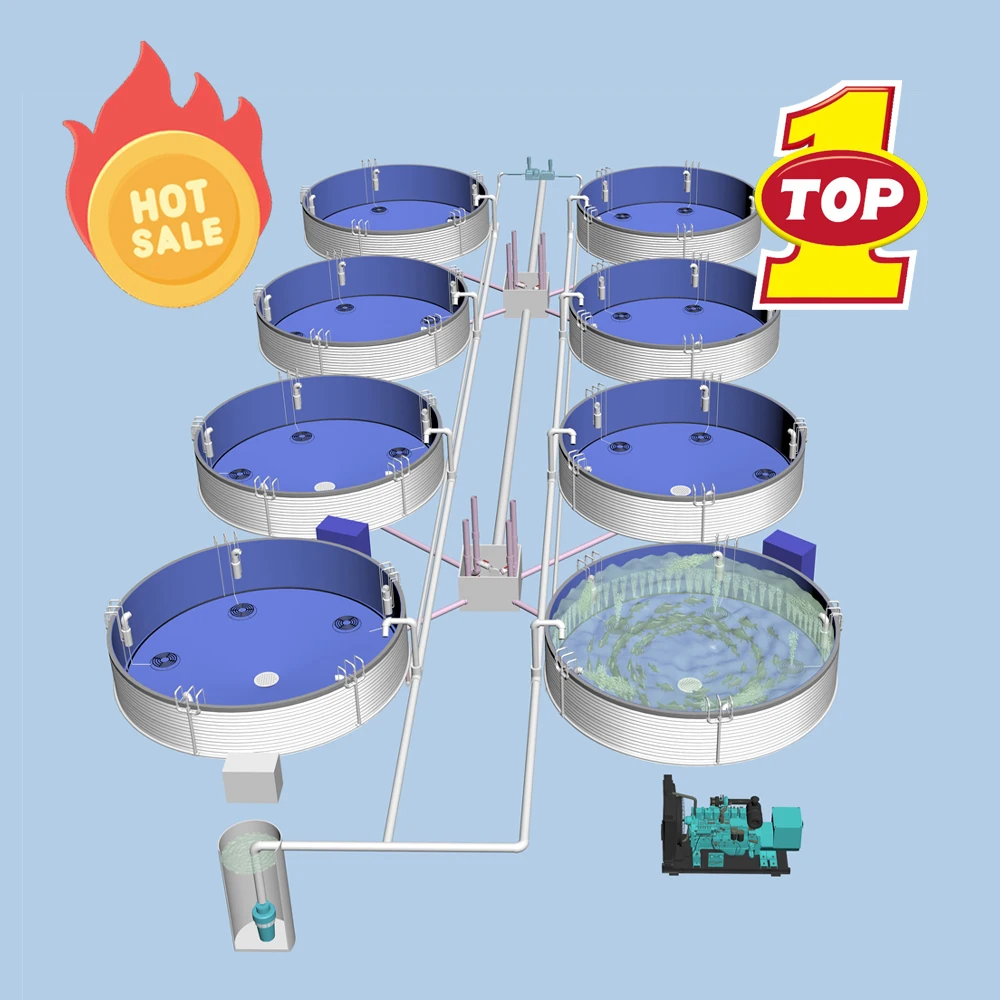 Ras System Aquaculture Pond Farming System Shrimp Tilapia Fish Farming Equipment