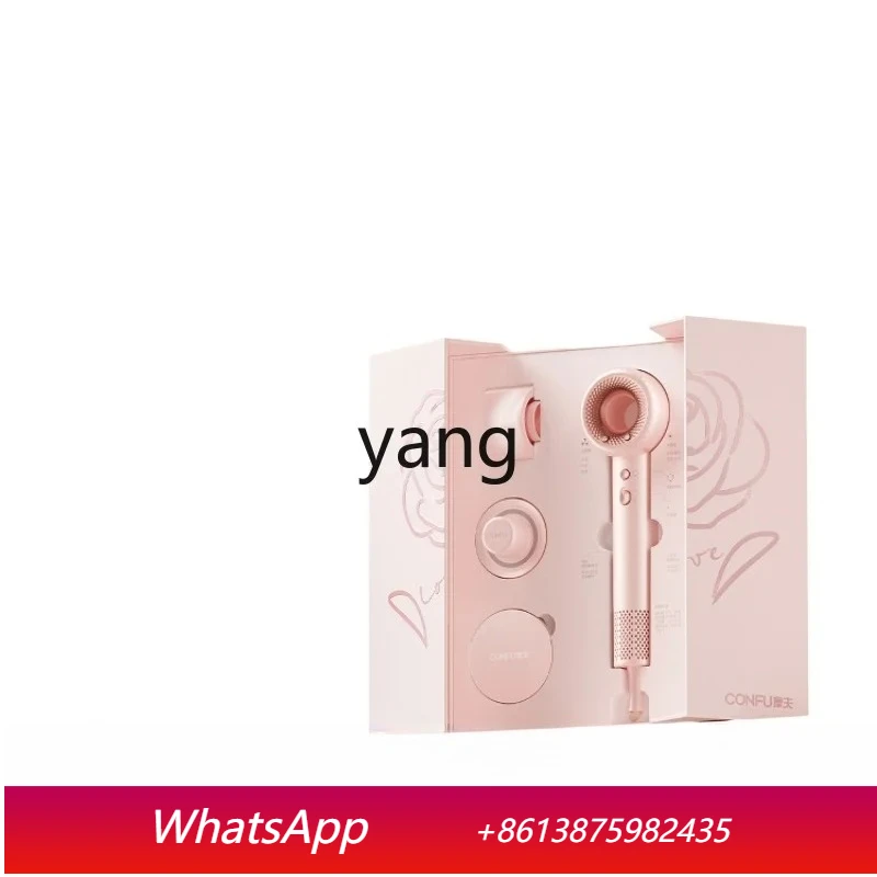 LH   high-speed electric hair dryer household high-power plasma hair care