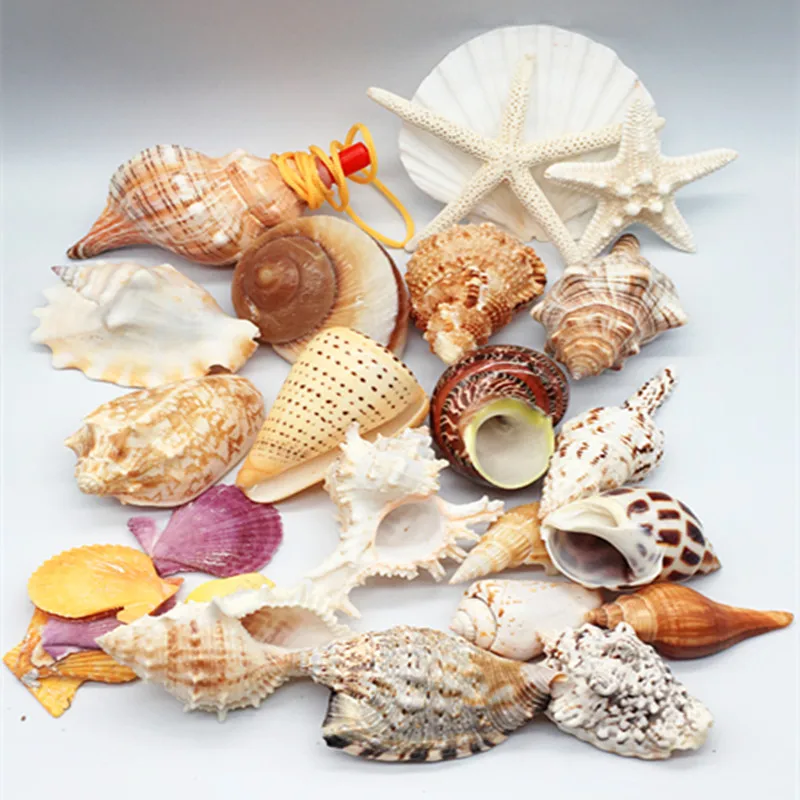

18Pcs Starfish Coral Aquarium Replacement Shell, Fish Tank Landscaping Decorations, Hermit Crab Shell, 5-10cm
