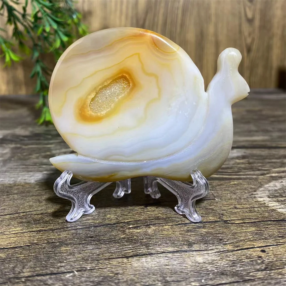 Agate Geode Crystal Snail Mollusc Natural Stone  Mineral Carving Quartz Gemstones Minerals Spiritual Ornaments Home Decoration