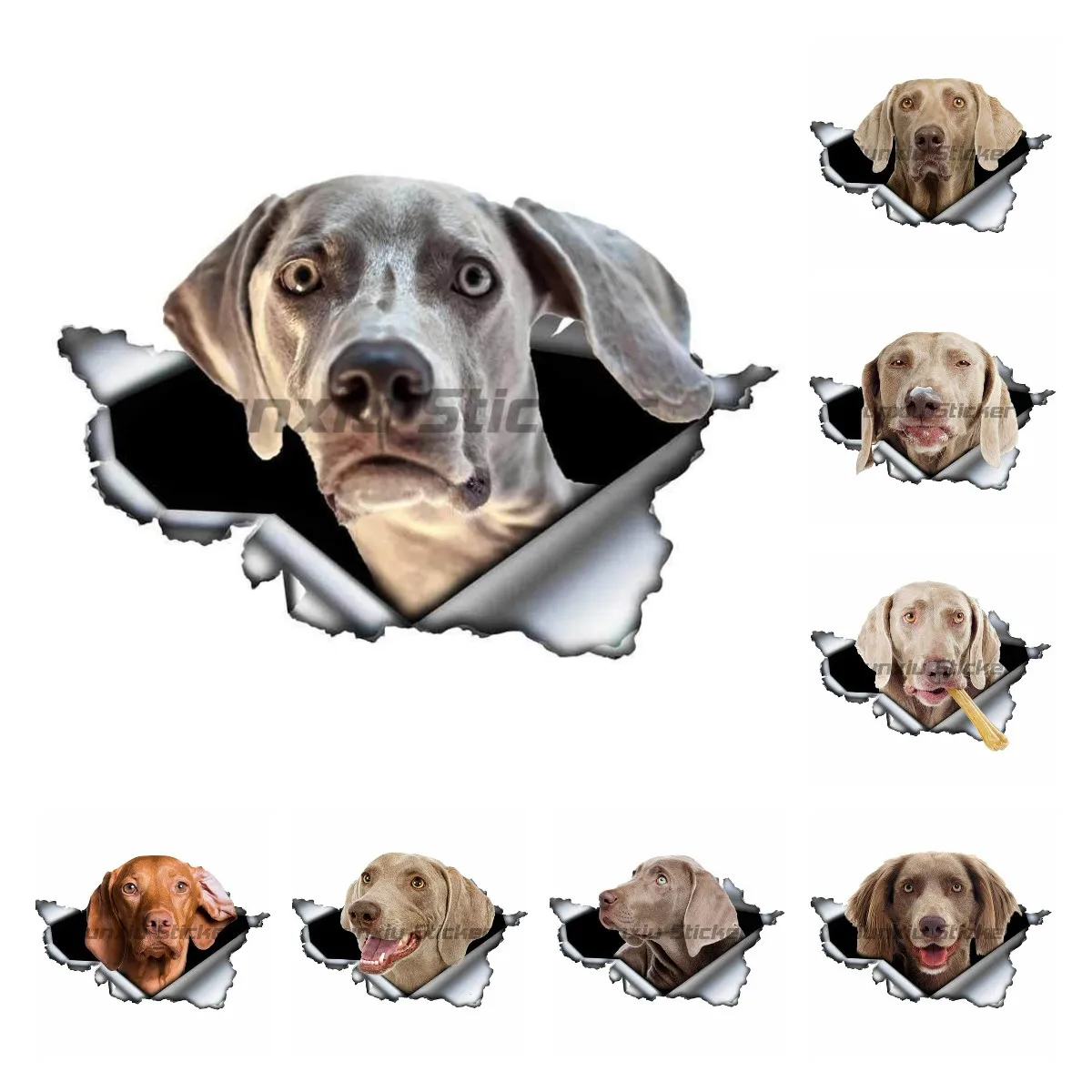 3D Dog Personality PVC Decal Weimaraner Vinyl Waterproof Car Sticker on Motorcycle Laptop Decorative Accessories