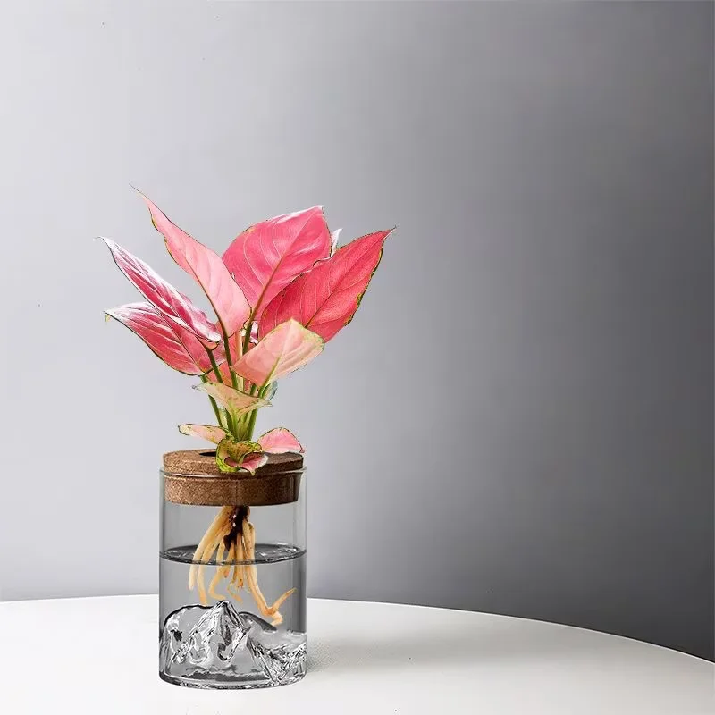 1pc Hydroponic Plant Vase With Wood Lid For Indoor Hydroponic Gardens Transparent Seedling Pot Gardening Accessories