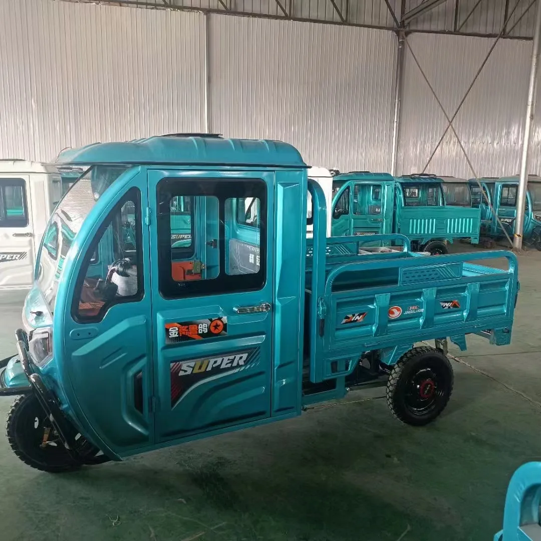 Electric Cargo Tricycle with Eec Certification Three-wheel Motor Trike Read Blue White Gray Electric Cargo Tricycle Scooter