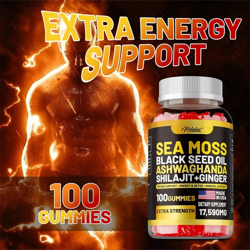 Sea Moss, Minyak Habbatussauda, Ashwagandha, Jahe, Permen Karet Shilajit - Jaga Pikiran Anda Tetap Jernih dan Menghilangkan Stres, Tingkatkan Pencernaan