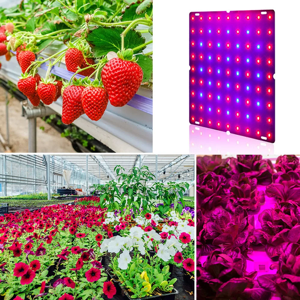 Luce per la crescita delle piante a LED Spettro completo 169 Perline Design sottile con gancio Luce rossa blu per piantine Verdure Erbe