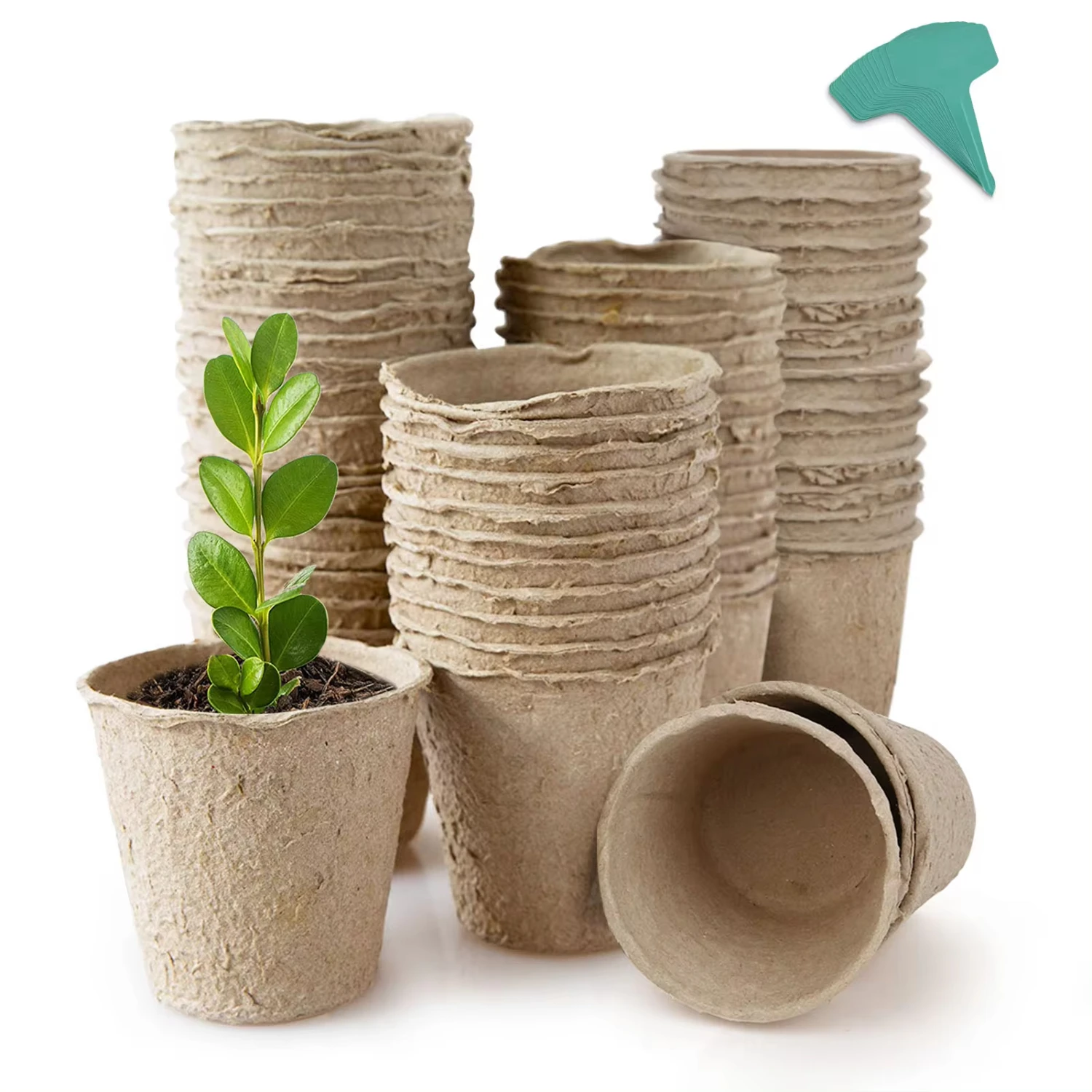 Biodegradable Peat Pots Plant Starters with Plant Labels - Herb Seed Starter Kits (15 Pcs)