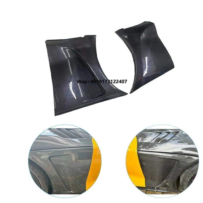 

E Style Real Carbon Fiber Body Kit Side Fender for 2019+