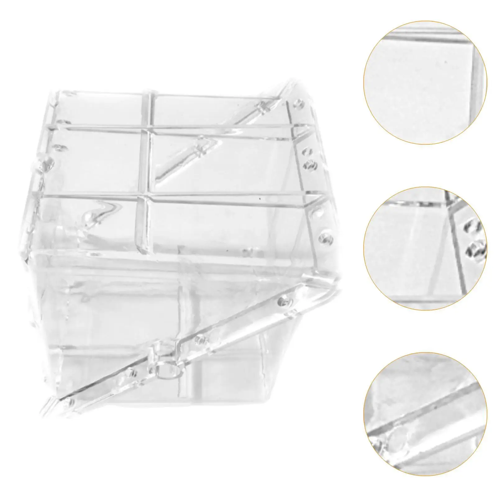 Square Watermelon Growth Model Fruit Shape Tool Clear Equipment Premium Creative Professional Garden Practical Unique Reusable