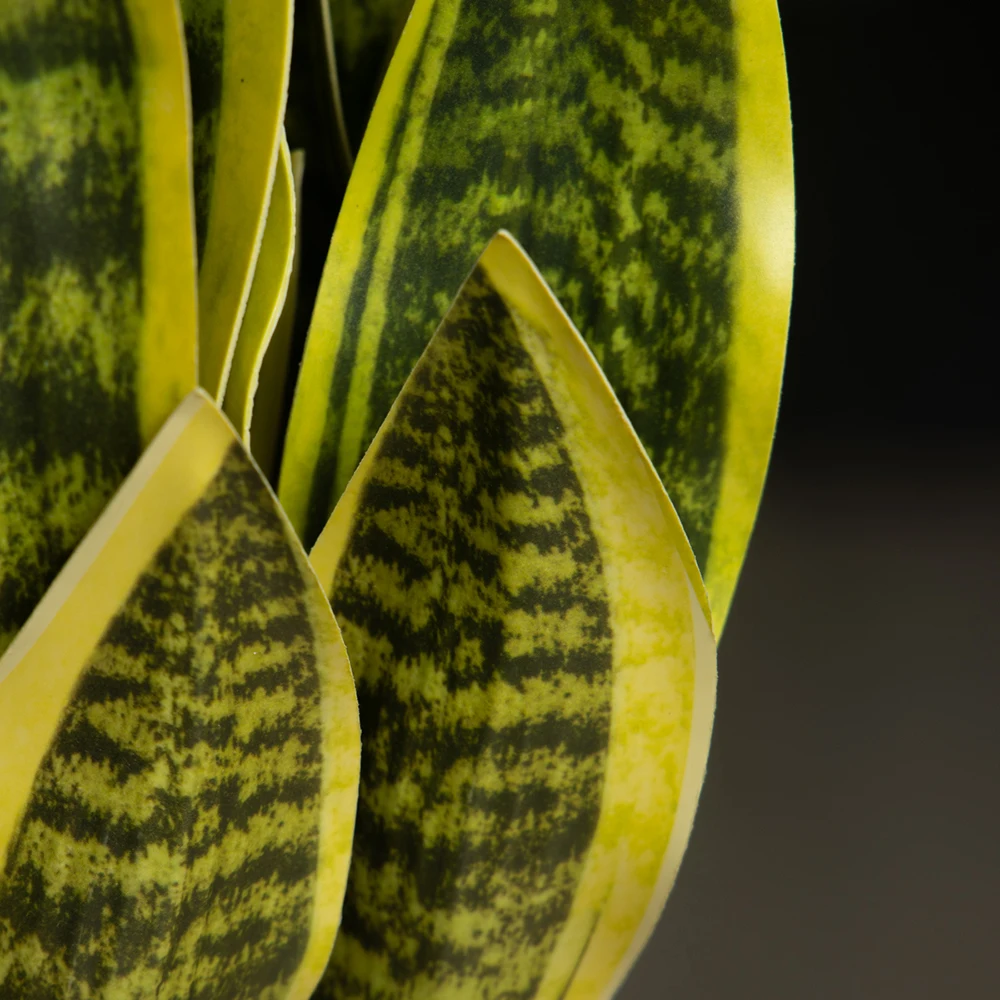 31/37 cm künstliche Schlangenpflanzen, gefälschte Sukkulenten, Kunststoff, Tigerfellpflanze, tropische Sansevieria für Büro, Zuhause, Tischdekoration – Detail 7