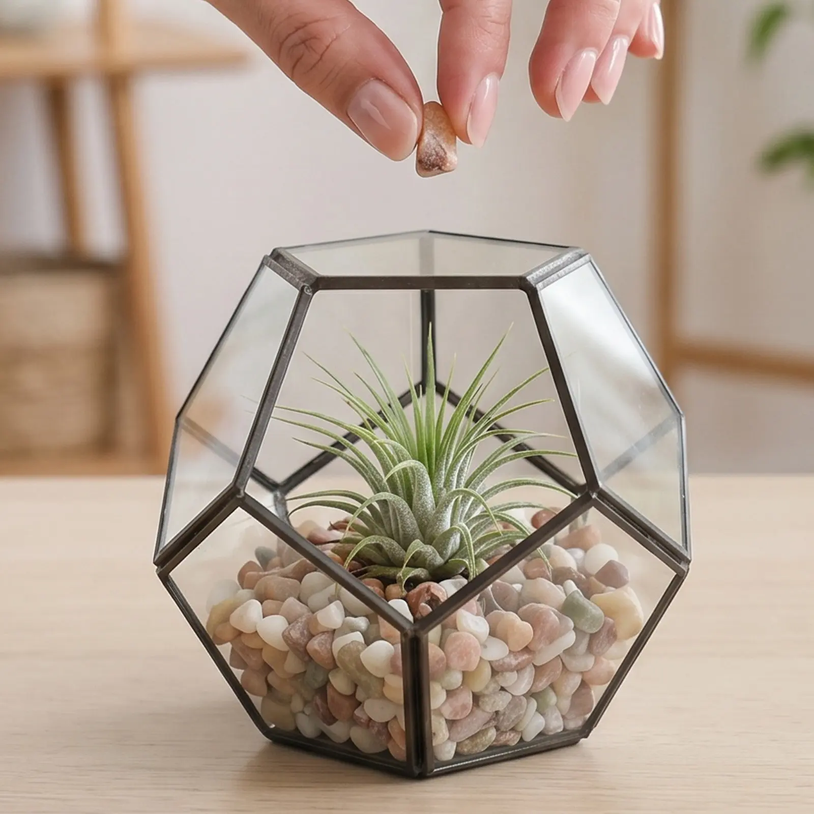 1Set Natural Mixed Color Succulent Soil Top Dressing Stones Irregular Decorative Pebbles for Plants Indoor Pot Terrarium Gravel