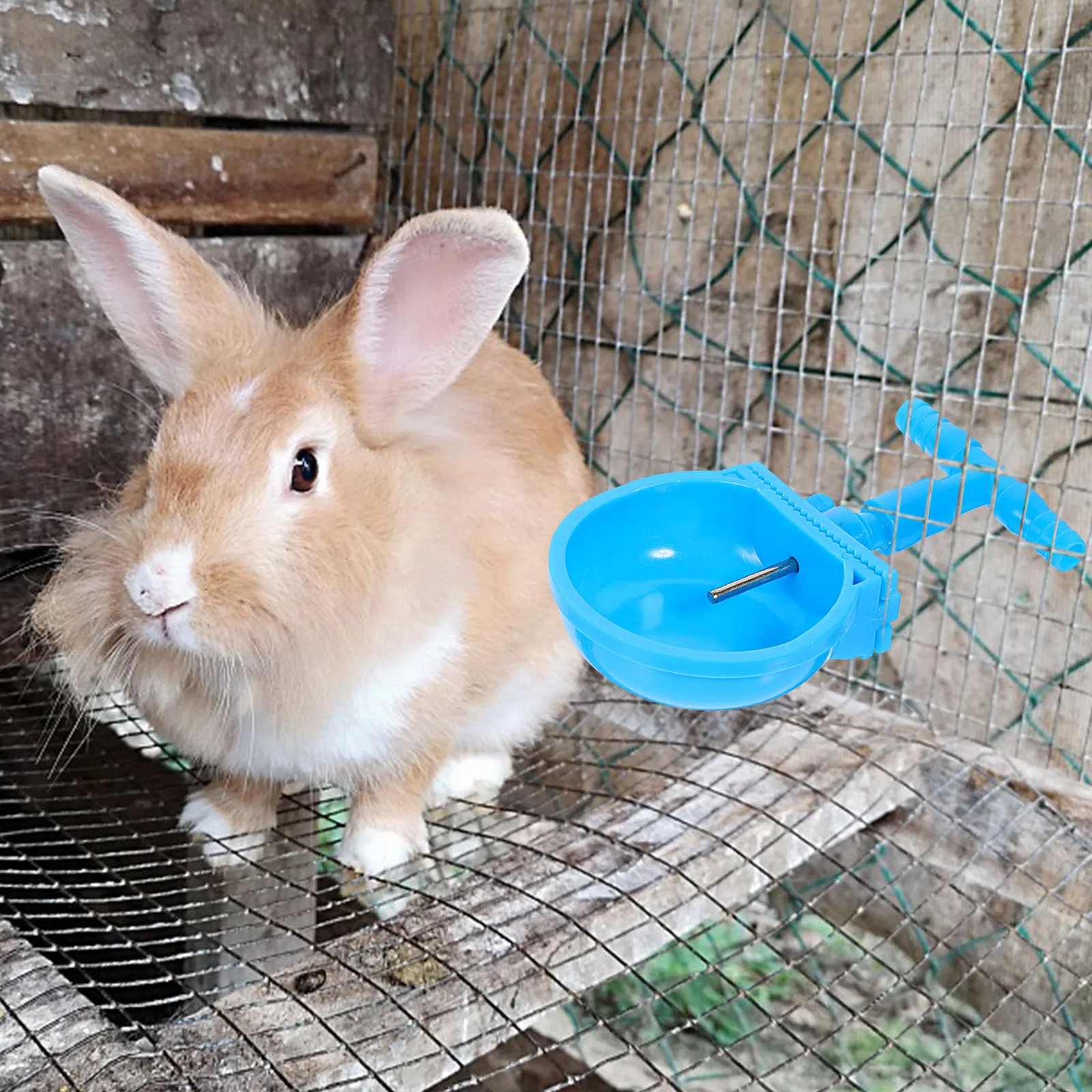 

4Pcs Rabbit Water Bowl High Grade Material Large Capacity Durable Pet Drinking Feeder Easy Install No Leak Blue