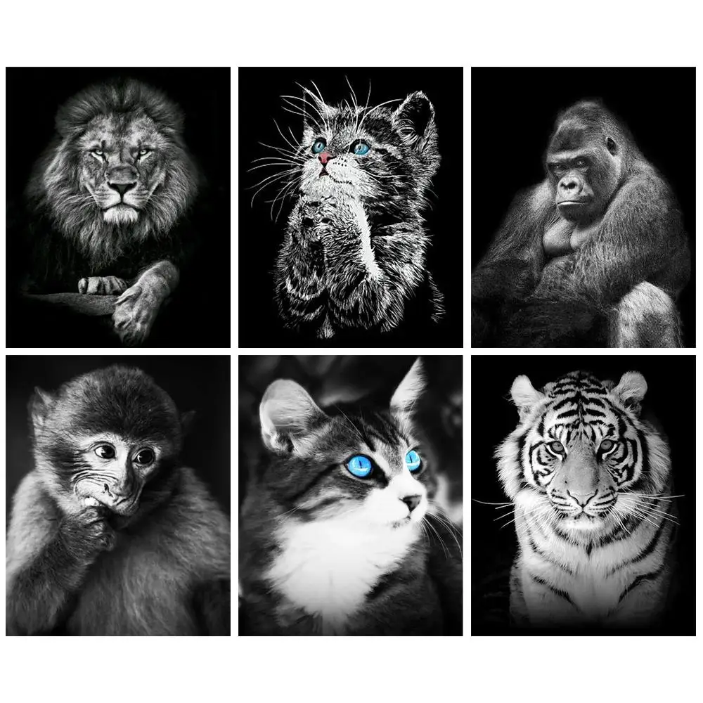 

GATYZTORY Diamond Painting Full Square New Arrival Cat and Monkey 5D Diamond Embroidery Animals Wall Art DIY Home Decor Kits