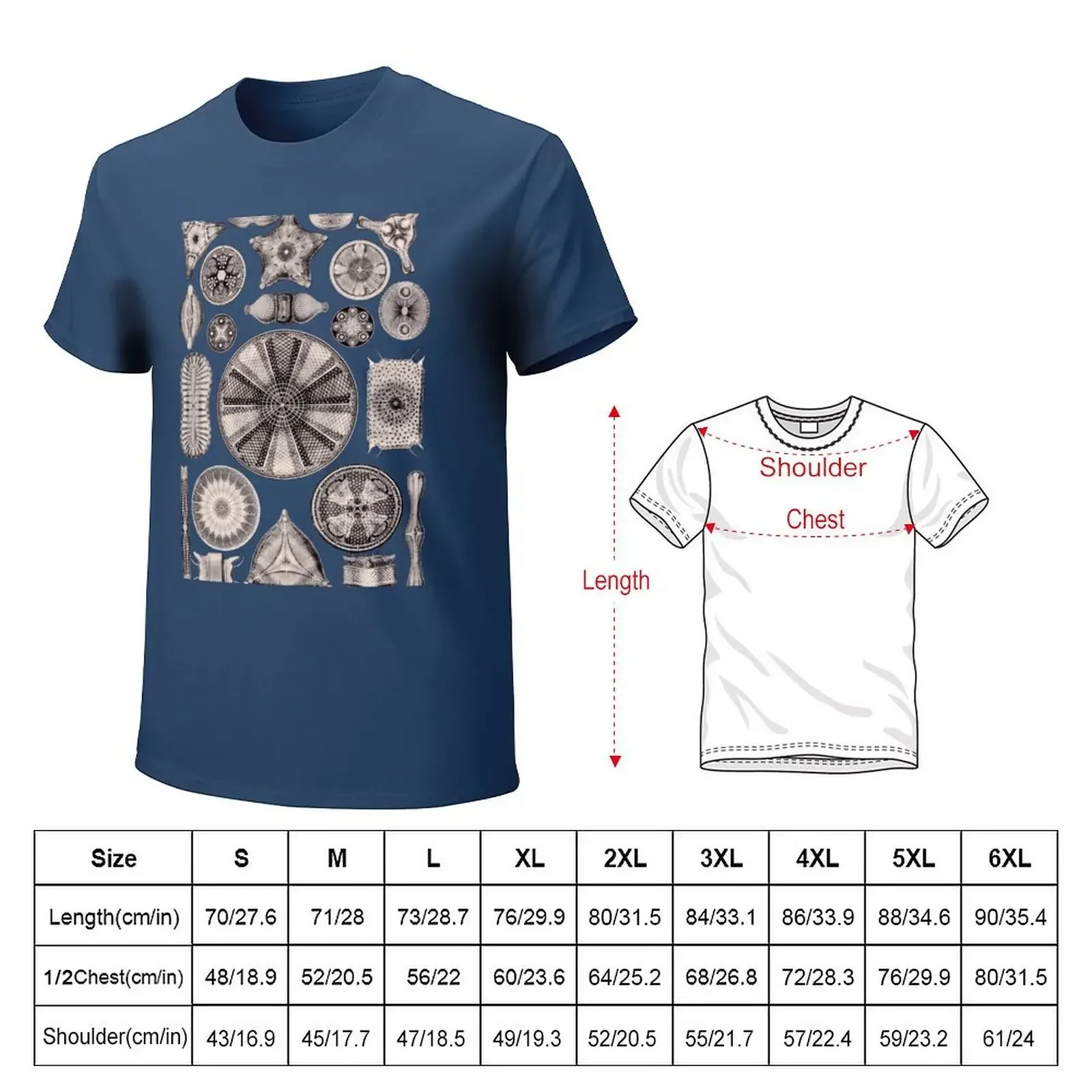 Ernst Haeckel Diatoms Lavender Grey T-shirt cute clothes graphics vintage clothes sweat shirts, men