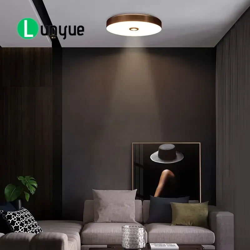 Modern Architectural Design Premium LED Ceiling Light for Bedroom Bathroom Living Room Unique Interior Lighting Fixture