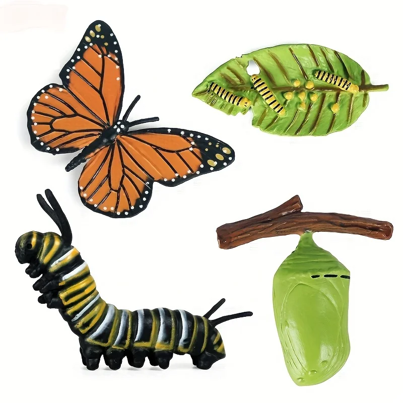 4pcs Butterfly Life Cycle Kit Lifestyle Stages of Monarch Butterfly Teaching Tools for Kids Students