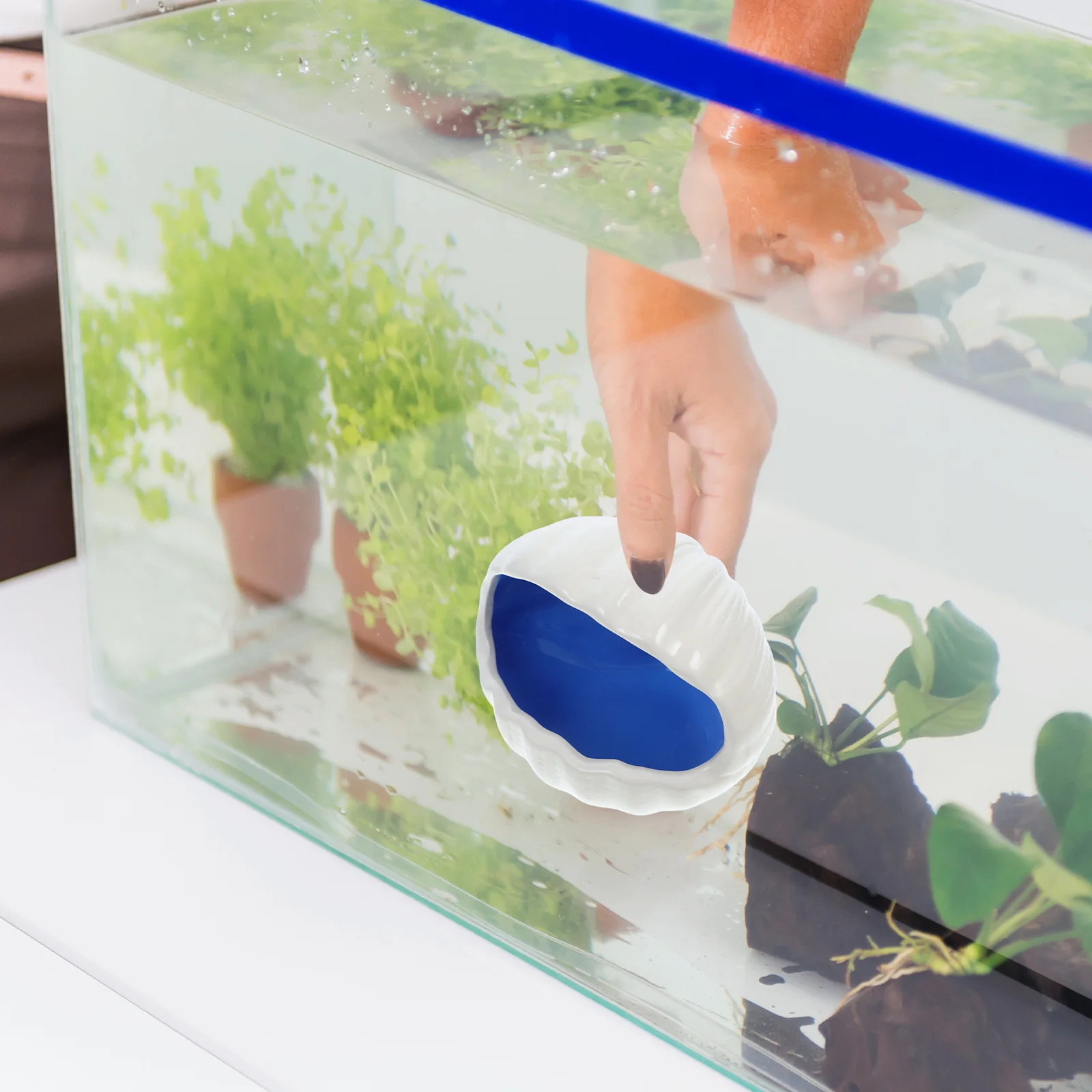 

Ceramic Conch Shell Fish Hideout Small Animal Nest Aquarium Shell Decoration Natural Fish Playing Cave Aquarium Ornament