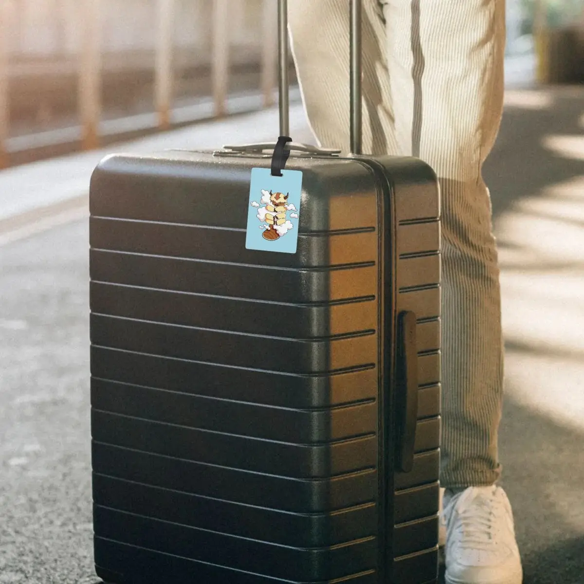 Appa With Clouds, Avatar The Last Airbender แท็กกระเป๋าเดินทางกระเป๋าเดินทาง Baggage Boarding Tag แบบพกพาผู้ถือป้าย ID ชื่อที่อยู่