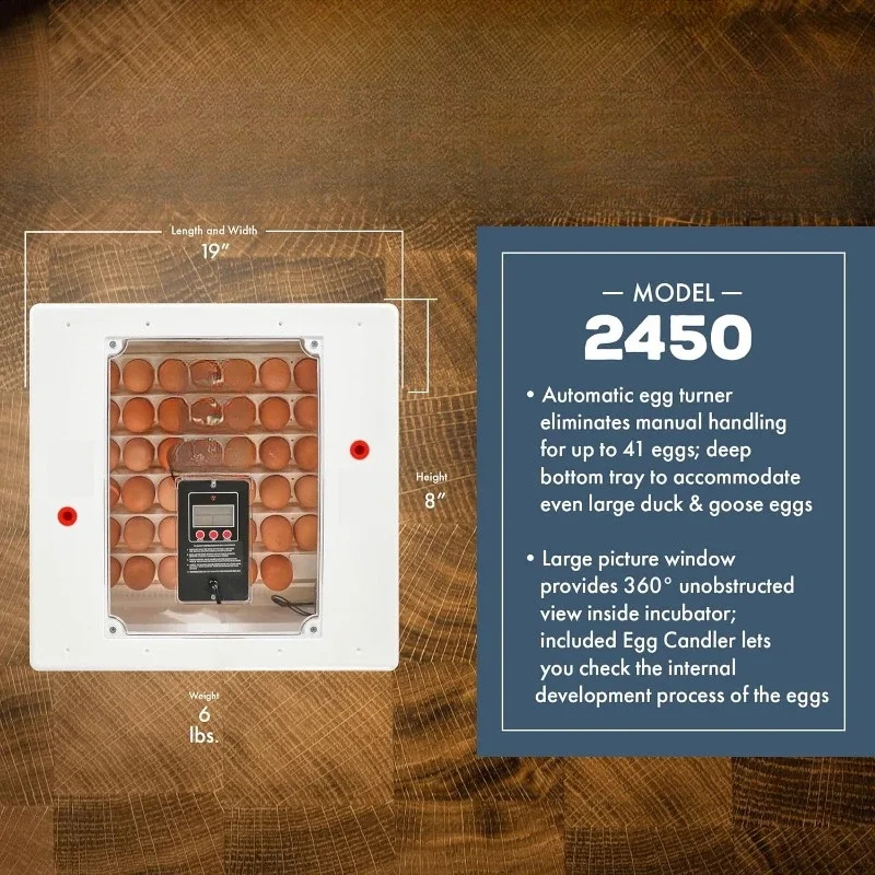 Fast shipping.Egg Turning and Humidity Control, 41 Egg Capacity Series Digital Circulated Air Egg Incubator with Automatic