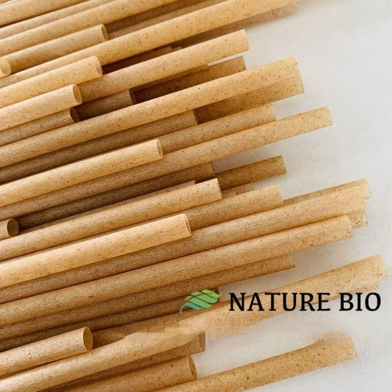 Eco-Friendly Plant-Based Sugarcane Fiber Straws Set Biodegradable Plastic-Free For Hot Cold Drinks Disposable Straw