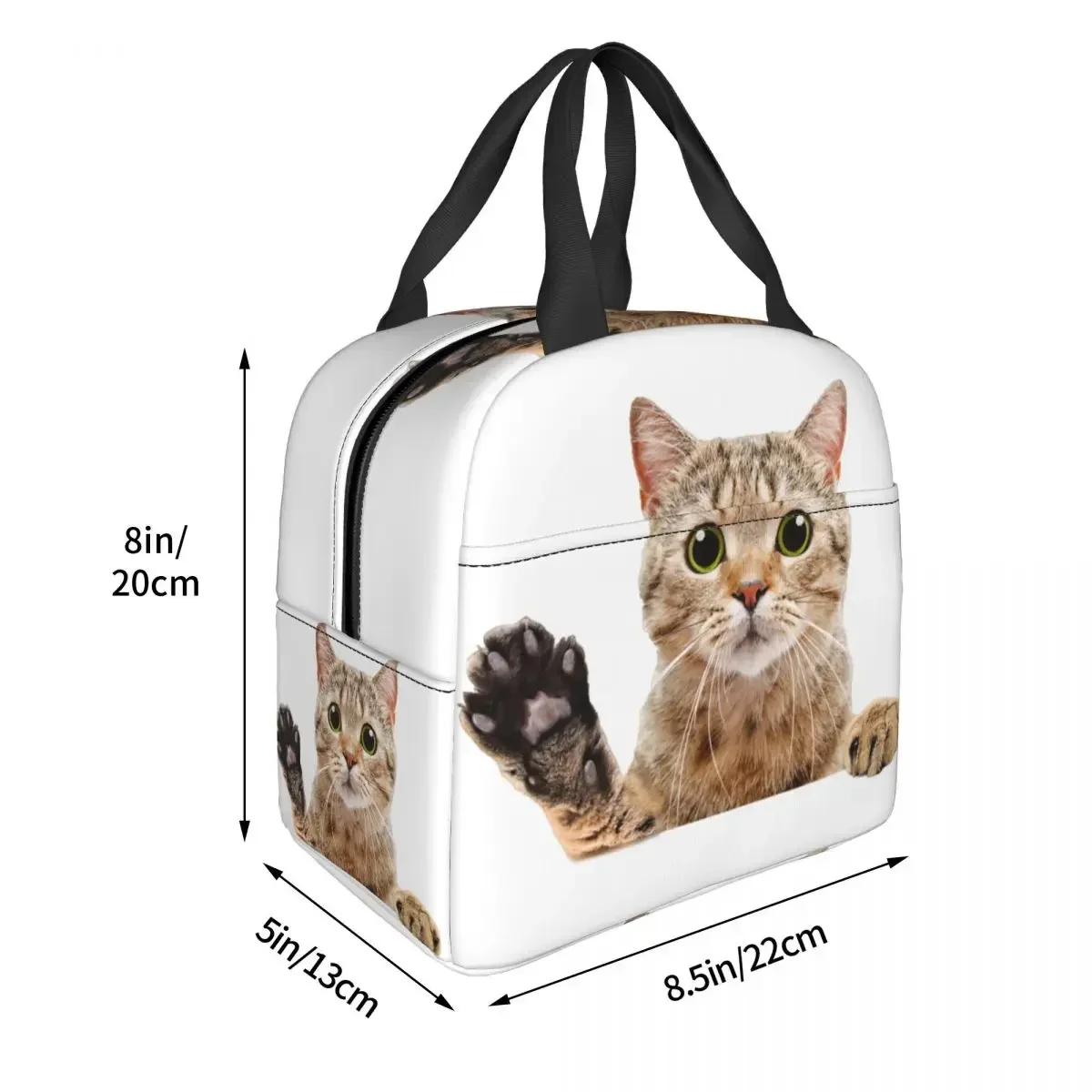 Cute Scottish Cat Peeking Lunch Bag Leakproof Picnic Insulated Warm Cooler Thermal Lunch Box For Women Kids Tote Container