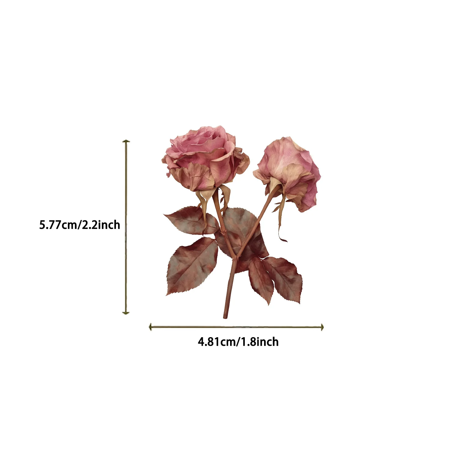 Autocollants Graffiti feuilles de plantes, 50 pièces, autocollants esthétiques pour bagages, vélo, téléphone, ordinateur, cadeau du nouvel an, décoration pour animaux de compagnie, DIY bricolage