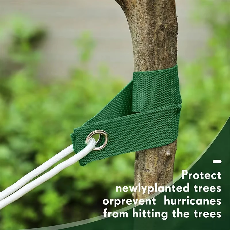 5/10pcs Tree Windproof and Anti Fall Binding Straps, Plant Support Anchor Straps, Perforated Safety Belts, Tree Fixing Straps