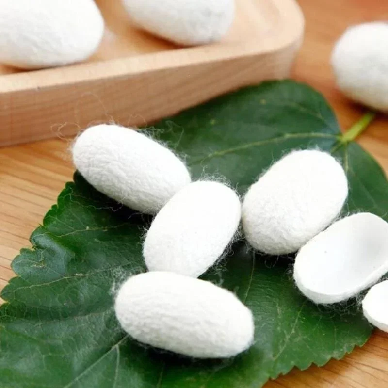 10 Pz Coconetti di Seta Naturale Organico Palline di Baco Da Seta Viso Cura Della Pelle Scrub Purificante Acne Anti Invecchiamento Sbiancamento Vendita Calda