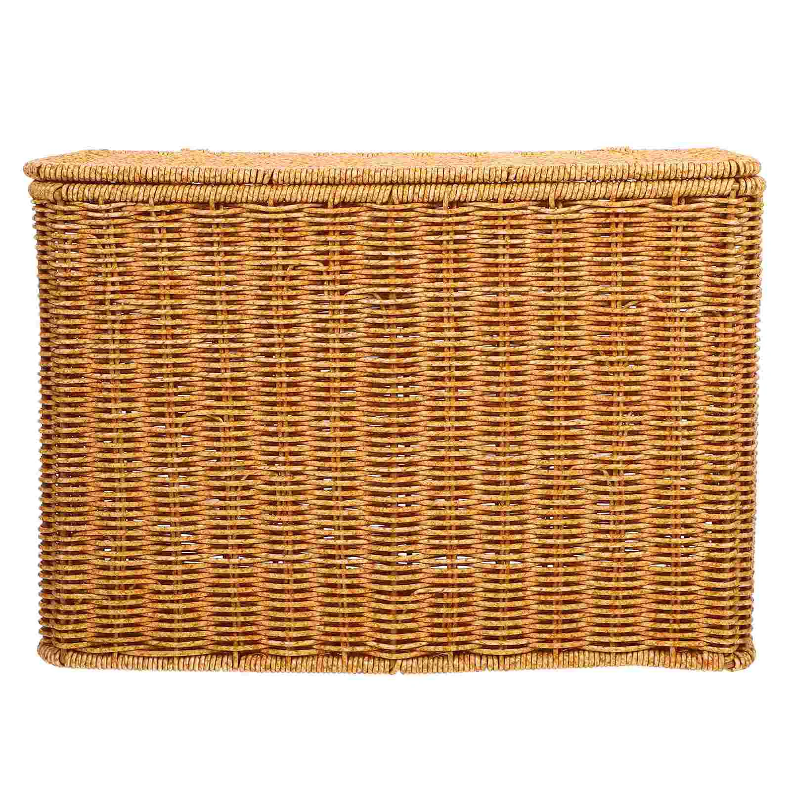 Narrow and Tall Storage Box with Lid Basket Small Handle Baskets Lids Furniture for Magazines Plastic Woven Child