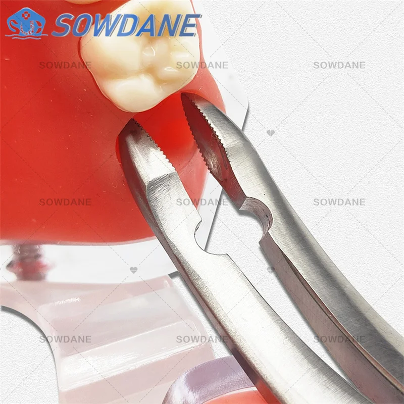 Dental Forcep Root Fragment Minimally Invasive Tooth Extraction Forcep Dental wisdom teeth plier Dental Surgical Instrument Tool