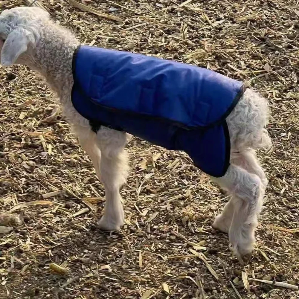 Goat Blankets For Cold Weather Waterproof Lamb Coat Adjustable Jacket Blanket Sheep Blanket Windproof keep Lamb warming