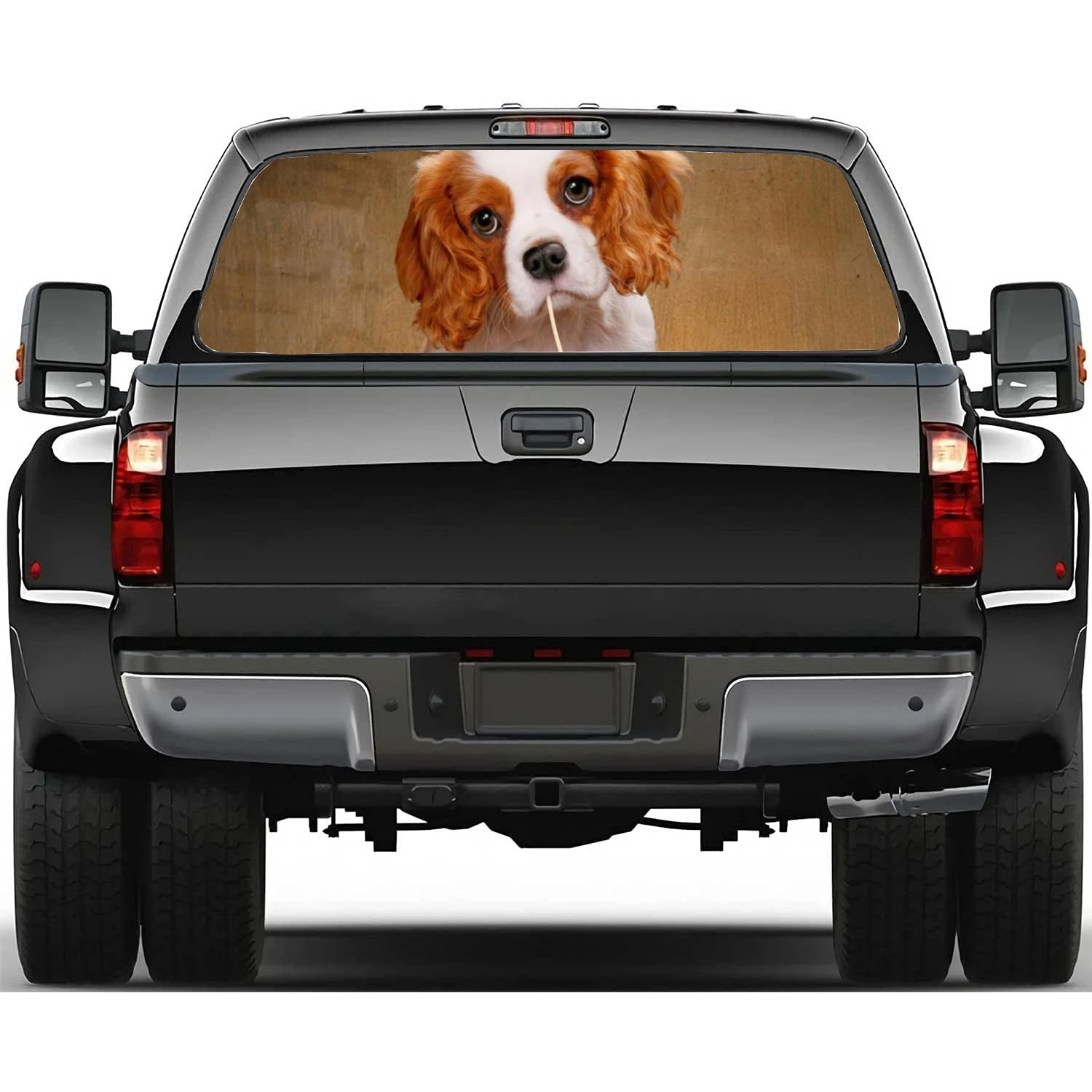 Cavalier King Charles Spaniel  Car Window Stickers Vinyl Translucent Decorative Truck Stickers Paint Film Car Decal Stickers