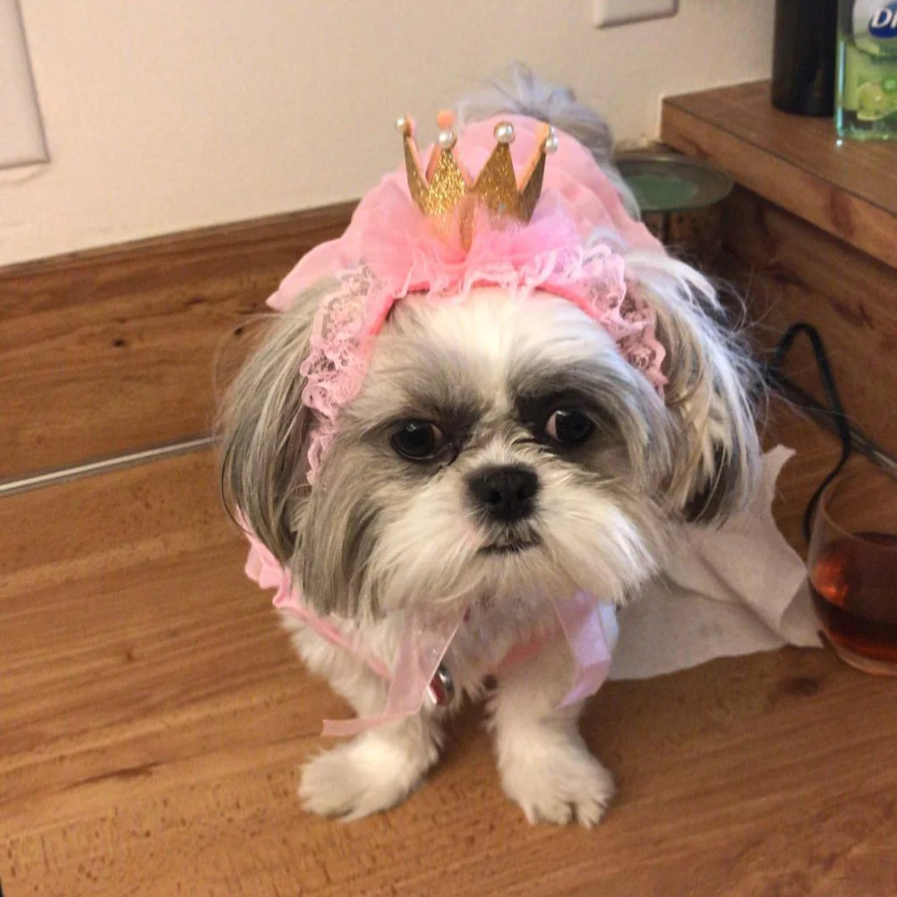 

2Pcs Pet Headdress Lace Crown Adorable Headband for Small Cats Dogs Festival Costume Christmas Parades Daily Wear Pink Golden