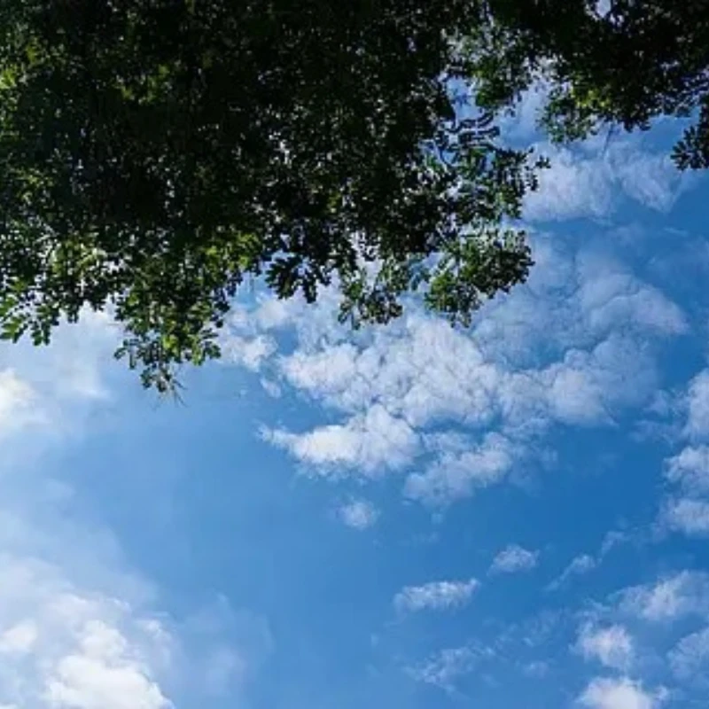 

GEPRC TAKER H743 FC BT Dual Gyro 3-6S Контроллер полета с выходом BEC 5 В 12 В для гоночного дрона RC FPV