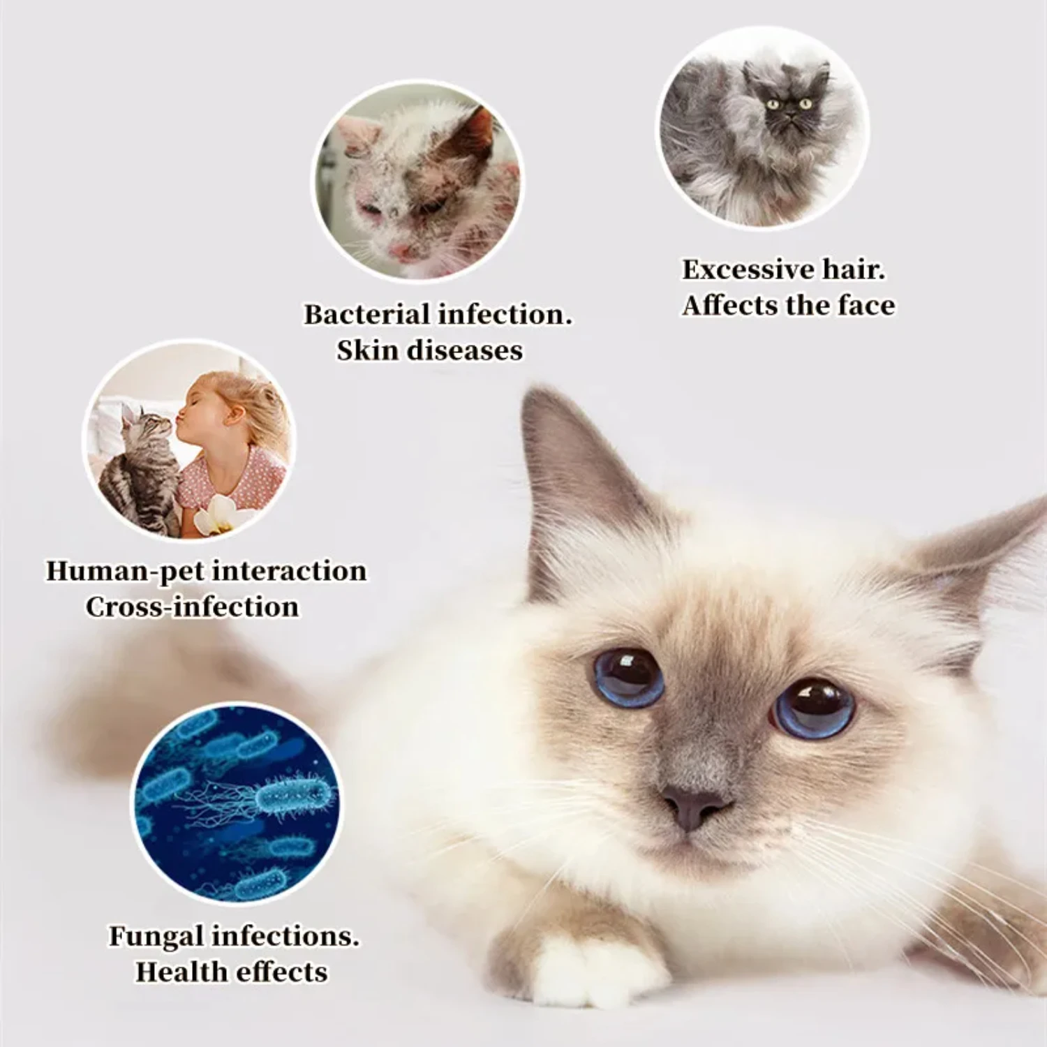 Sisir Kucing Sikat Penghilang - Pet Supplies Grooming Hours ulasan dan harga