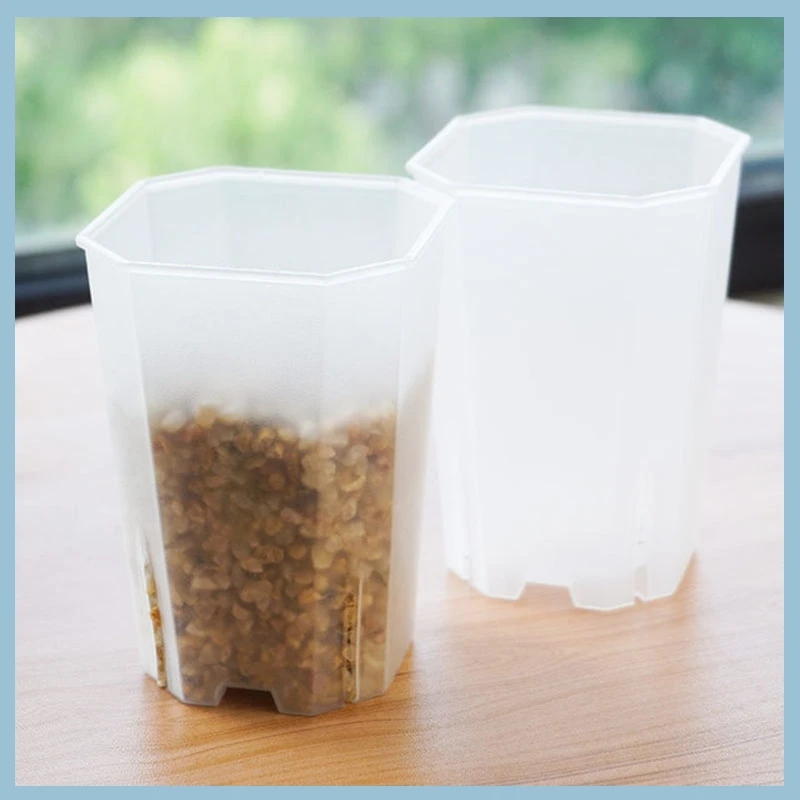 Macetas octogonales blancas transparentes de 5 uds., maceteros de plántulas pequeños sólidos de plástico para suculentas, decoración de escritorio y jardín del hogar